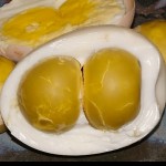 Oeufs doubles jaunes. ביצה דו חלמונית